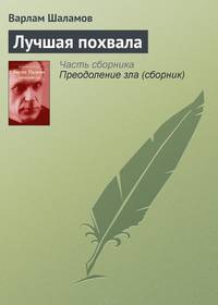 Лучшая похвала