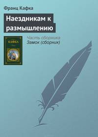 Наездникам к размышлению