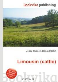 Limousin (cattle)