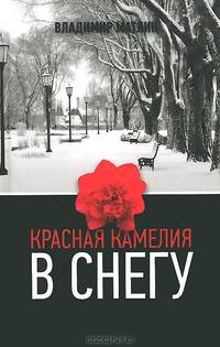 Красная камелия в снегу