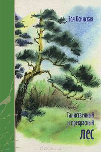 Таинственный и прекрасный лес