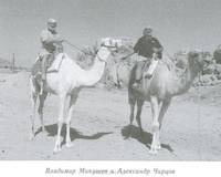 От Фонтанки до Белого моря