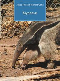 Муравьи