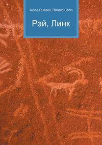 Рэй, Линк