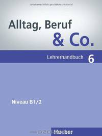 Alltag, Beruf & Co. 6, Lehrerhandbuch