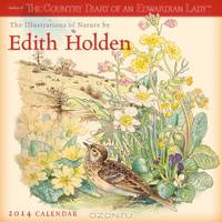 Календарь 2014 (на скрепке). The Illustrations of Nature by Edith Holden