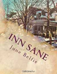 Inn Sane: Memoirs of an Innkeeper