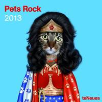 2013 Pets Rock Wall Calendar