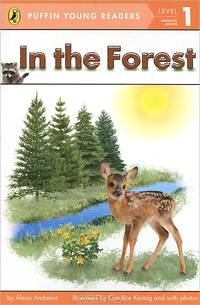 In the Forest: Level 1: Emergent Image