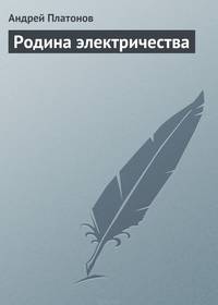 Родина электричества