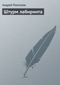 Штурм лабиринта