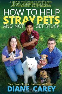 How to Help Stray Pets and Not Get Stuck