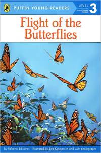 Flight of the Butterflies: Level 3