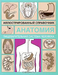 Анатомия. Иллюстрированный справочник. Пищеварительная система человека