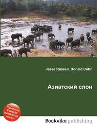 Азиатский слон