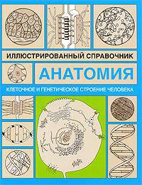 Анатомия. Иллюстрированный справочник. Клеточное и генетическое строение человека