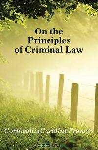On the Principles of Criminal Law