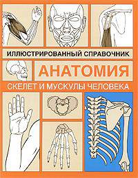 Анатомия. Иллюстрированный справочник. Скелет и мускулы человека