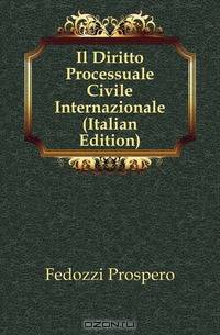 Il Diritto Processuale Civile Internazionale (Italian Edition)