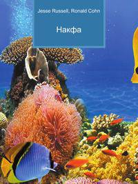 Накфа