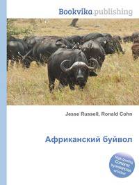Африканский буйвол