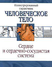 Сердце и сердечно-сосудистая система