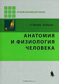 Анатомия и физиология человека
