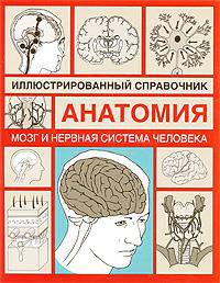 Анатомия. Иллюстрированный справочник. Мозг и нервная система человека