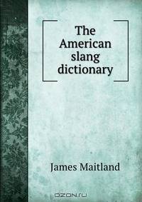 The American slang dictionary