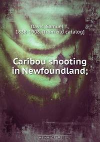 Caribou shooting in Newfoundland
