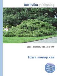Тсуга канадская