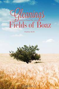 Gleanings from the Field of Boaz