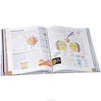 The Human Body Book (+ DVD-ROM)