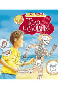 Тело человека
