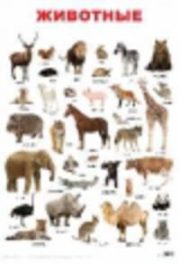 Животные. Учебный плакат