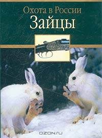 Зайцы