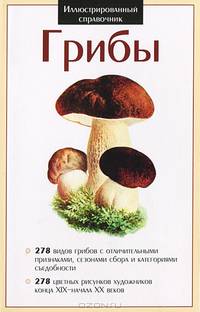 Грибы