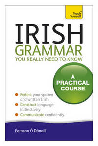 Irish Grammar You Really Need to Know