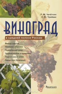 Виноград в средней полосе России