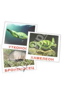 Комплект карточек "Экзотические животные" (16,5х19,5 см)
