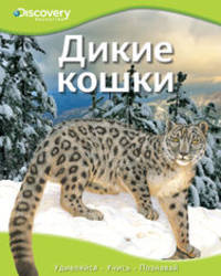 Дикие кошки. Удивляйся, учись, познавай