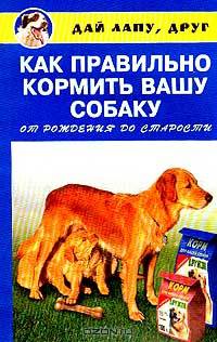 Как правильно кормить вашу собаку от рождения до старости