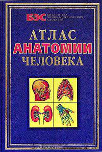 Атлас анатомии человека