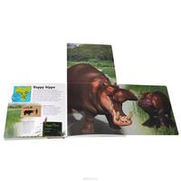 Amazing Giant Wild Animals