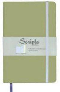 Scripta Notes. Large. Fern. Ruled Journal