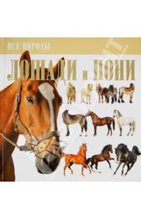 Лошади и пони