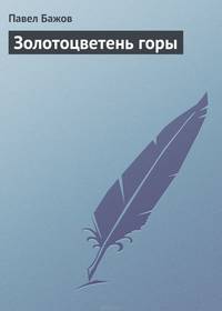 Золотоцветень горы