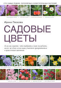 Садовые цветы. Если вы знаете, что выбрать и как посадить, всего за один сезон ваш участок превращается в красочный цветник