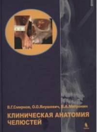 Клиническая анатомия челюстей