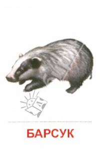 Раздаточные карточки "Дикие животные -1" (63х87 мм)